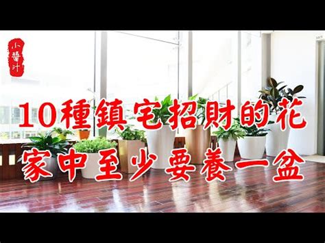 佛珠植物風水